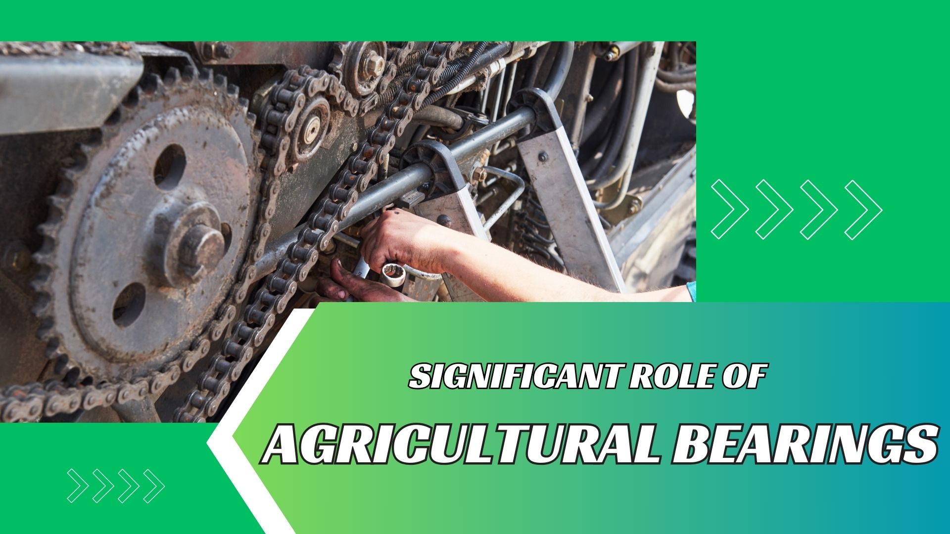 Agricultural Bearings